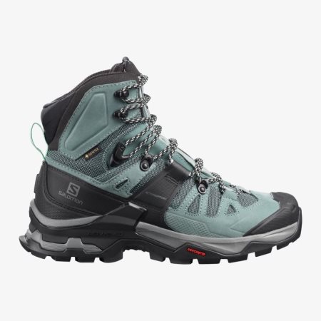 Salomon QUEST 4 GORE-TEX Womens Hiking Boots PH 00XJD